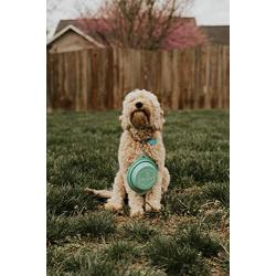 Ruff Products BarkBowl (Tiffany Blue, 800ml) - Collapsible Dog Bowl
