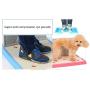 DAN Newest Design Indoor/Outdoor Pet Potty Puppy Toilet with Simulation Wall