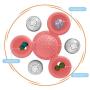 Heywean Cat Windmill Toy Multi-Functional with Massager Funny Pet Interactive Spin Toys for Cats (Pink-3)