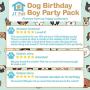 JT PET Dog Birthday Boy Party Pack with Bandana, Star Spangled Party Hat with Adjustable Elastic, Tassels and Feathery Trim, and Vegan Birthday Pie