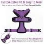 rabbitgoo Cat Harness and Leash for Walking, Escape Proof Soft Adjustable Vest Harnesses for Cats, Easy Control Breathable Reflective Strips Jacket, Purple, S(Chest: 18'' - 20'') rabbitgoo Cat Harness and Leash for Walking, Escape Proof Soft Adjustable Vest Harnesses for Cats, Easy Control Breathable Reflective Strips Jacket, Purple, S(Chest: 18'' - 20'')