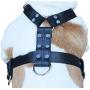 Genuine Leather Dog Harness Large 28''-35'' Chest, 1.3'' Wide Adjustable Straps