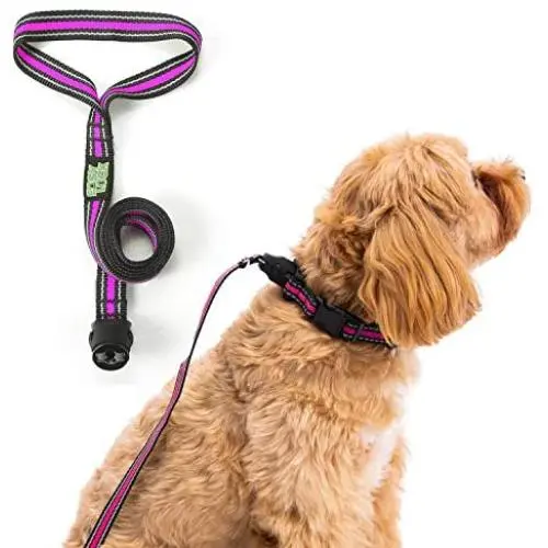 EASY LOCK Dog Collar and Leash Set, One Hand Easily Connect Dog Collars for Small Dogs, 360° Magnetic Clasp & Reflective Pet Collars (S,M,L) EASY LOCK Dog Collar and Leash Set, One Hand Easily Connect Dog Collars for Small Dogs, 360° Magnetic Clasp & Reflective Pet Collars (S,M,L)