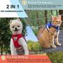 Cat Harness and Leash Set for Walking Cat and Small Dog Harness Soft Mesh Harness Adjustable Cat Vest Harness with Reflective Strap Comfort Fit for Pet Kitten Puppy Rabbit