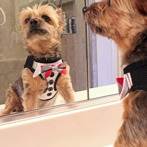 DOGGIE DESIGN American River Ultra Choke Free Formal Dog Harness - Tuxedo with 4 Interchangeable Multi-Colored Bows DOGGIE DESIGN American River Ultra Choke Free Formal Dog Harness - Tuxedo with 4 Interchangeable Multi-Colored Bows