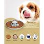 KASBAH Stainless Steel Dog Bowls for Puppy, 2 Pack Puppy Feeder Bowl for Feeding Food and Water Weaning Pet Feeder Bowl Water Bowl for Small Dogs/Cats/Pets