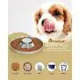 KASBAH Stainless Steel Dog Bowls for Puppy, 2 Pack Puppy Feeder Bowl for Feeding Food and Water Weaning Pet Feeder Bowl Water Bowl for Small Dogs/Cats/Pets KASBAH Stainless Steel Dog Bowls for Puppy, 2 Pack Puppy Feeder Bowl for Feeding Food and Water Weaning Pet Feeder Bowl Water Bowl for Small Dogs/Cats/Pets