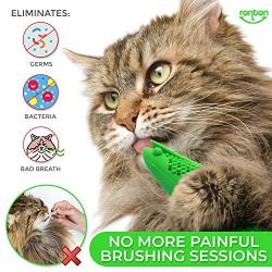 Ronton Cat Toothbrush Catnip Toy - Durable Hard Rubber - Cat Dental Care, Cat Interactive Toothbrush Chew Toy (2-Pack Green/Blue)