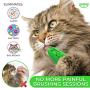 Ronton Cat Toothbrush Catnip Toy - Durable Hard Rubber - Cat Dental Care, Cat Interactive Toothbrush Chew Toy (2-Pack Green/Blue)