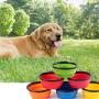 Pawfect Dog Bowl