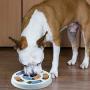 FASOON Interactive Dog Food Puzzle Toy - Treat Dispensing Dogs Slow Feeder Increase IQ Pet Dog Training Games Feeder Interactive Pet Supplies