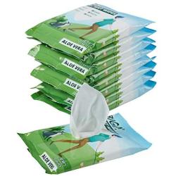 Pet Grooming Wipes with Deodorizing Hypoallergenic for Dogs Cats Cleaning Face Butt Eyes Ears Paws 100ct per Pack