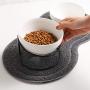 JUILE YUAN Elevated Cat Bowl - Ceramic Tilted Elevated Raised Pet Dish with Metal Stand, Tall Cat Bowls for Food and Water,Anti Vomiting, Whisker Fatigue, Dishwasher Safe, Protect Dog and cat Spine