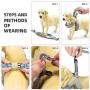 Wealer Dog Harness,The Most Easy to Control Adjustable Dog Harness and Leash Set,No Pull Breathable Soft Air Mesh Dog Vest Harness for Small and Medium Dogs…