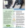 Pure and Natural Pet - Shed Control Shampoo Sweet Orange and Coconut 16 oz,PN223