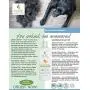 Pure and Natural Pet - Shed Control Shampoo Sweet Orange and Coconut 16 oz,PN223