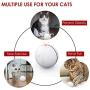 DELOMO Smart Interactive Cat Toy Ball, Automatic Rolling Ball, USB Rechargeable Cat Light Toy, 360 Degree Self Rotating Ball with Spinning Light, Upgraded Cat Exercise Chaser Toy, White