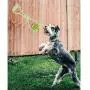 ALAIX Dog Chew Toy Balls – IQ Treats, Training Educational Rubber Exercise with Rope for Puppy, Best Cleaning Toothbrush Bite Ball Toys, Small Medium Dogs Food Dispenser, Durable with Handle ALAIX Dog Chew Toy Balls – IQ Treats, Training Educational Rubber Exercise with Rope for Puppy, Best Cleaning Toothbrush Bite Ball Toys, Small Medium Dogs Food Dispenser, Durable with Handle