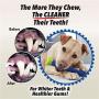 DesirePath Puppy Brush Dog Toothbrush Chew Toy Stick for Tooth Cleaning,Puppy Dental Care Brushing Toy - Natural Rubber Bite Resistant Dog Toothbrush Toy