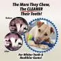 DesirePath Puppy Brush Dog Toothbrush Chew Toy Stick for Tooth Cleaning,Puppy Dental Care Brushing Toy - Natural Rubber Bite Resistant Dog Toothbrush Toy DesirePath Puppy Brush Dog Toothbrush Chew Toy Stick for Tooth Cleaning,Puppy Dental Care Brushing Toy - Natural Rubber Bite Resistant Dog Toothbrush Toy