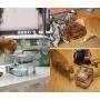 NPET 3L Clear Cat Water Fountain and 6L Large Capacity Automatic Pet Feeder with Timer NPET 3L Clear Cat Water Fountain and 6L Large Capacity Automatic Pet Feeder with Timer