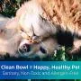 Vet-Grade, Biodegradable Disposable Pet Bowls Bulk 100 Pk 8 Oz/1 Cup. Germ-Free, Non-Toxic Food and Water Dishes for Puppies, Small Dogs and Cats. Sturdy, Leakproof and Allergen-Free for Healthy Pets! Vet-Grade, Biodegradable Disposable Pet Bowls Bulk 100 Pk 8 Oz/1 Cup. Germ-Free, Non-Toxic Food and Water Dishes for Puppies, Small Dogs and Cats. Sturdy, Leakproof and Allergen-Free for Healthy Pets!