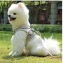 Ciyar Harness for Small Dog Pet Puppy Vest Reflective Belt with Leash Soft Comfort Mesh