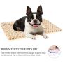 Ultra Soft Pet (Dog/Cat) Bed Mat with Cute Prints | Reversible Fleece Dog Crate Kennel Pad | Machine Washable Pet Bed Liner (24-Inch, Brown)