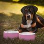 Magisso 90200 Water Bowl Natural Cooling Ceramic Keeps Water Cold, 20 cm Diameter, 1.8 litres, Pink