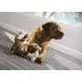 GoDog Wildlife Rabbit Large Toy with Chew Guard
