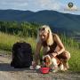 SunGrow Collapsible Bowls, Food and Water Feeder for Camping, Travel, Food-Grade, Carabiner Clip for Easy Storage, Dishwasher Friendly, Low Footprint, Feed Dog/cat Anywhere, 2 Pack