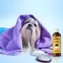 Natural Dog Shampoo for Dry Skin - Moisturizing Colloidal Oatmeal Dog Shampoo for Smelly Dogs and Dog Grooming Supplies - Natural Pet Shampoo for Dogs for Pet Odor and Dog Wash Puppy Supplies Natural Dog Shampoo for Dry Skin - Moisturizing Colloidal Oatmeal Dog Shampoo for Smelly Dogs and Dog Grooming Supplies - Natural Pet Shampoo for Dogs for Pet Odor and Dog Wash Puppy Supplies