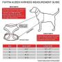 Puppia Auden Harness A