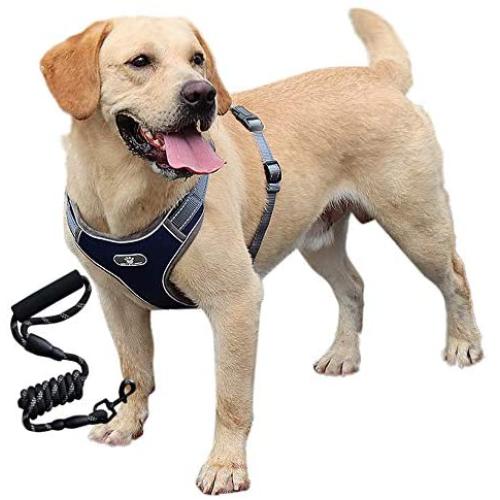 RIDVANVAN Dog Harness and Leash Set No-Pull Pet Harness Adjustable Soft Padded Dog Vest Reflective No-Choke Pet Oxford Vest for Large Dogs One Clip Leash Navy Medium