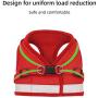 Dog Harness Vest Set Step in Puppy Vest Harness Leash Soft Mesh No Choke for Large Medium Pets Red L