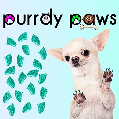 Purrdy Paws Soft Nail Caps for Dog Claws Seafoam Glitter