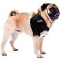 Caldera Pet Therapy Shoulder Pet Therapy Wrap with Therapy Gel, Small