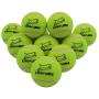 EXPAWLORER Dog Squeaky Tennis Balls for Dogs Set of 12 for Pet Playing and Training 2.5''