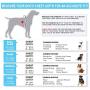 Pawtitas Pet Reflective Step in Dog Harness or Reflective Vest Harness Comfort Control Training Walking of Your Puppy Harness/Dog Harness Pawtitas Pet Reflective Step in Dog Harness or Reflective Vest Harness Comfort Control Training Walking of Your Puppy Harness/Dog Harness