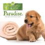 Best Shot Pet Scentament Cucumber Melon Caressing Body Wash