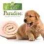 Best Shot Pet Scentament Spa Soft Mimosa Nectar Caressing Body Wash