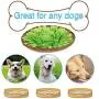 Emarth Snuffle Mat for Dogs, Pet Dog Nose Work Training Treat Puzzle Toys, Interactive Slow Feeding Mat, Encourages Natural Foraging Skills for Dogs Emarth Snuffle Mat for Dogs, Pet Dog Nose Work Training Treat Puzzle Toys, Interactive Slow Feeding Mat, Encourages Natural Foraging Skills for Dogs