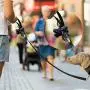 Ergode Poop Bag Dog Pet Waste Bags with Dispenser and Leash Clip, Standard and EPI Additive (600, Black)