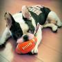 Latex Sports Balls Squeaky Chew Toy for Pet Dog Puppy Cat Kitten