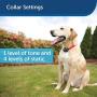 PetSafe Basic In-Ground Dog and Cat Fence – from the Parent Company of INVISIBLE FENCE Brand - Underground Electric Pet Fence System with Waterproof and Battery-Operated Training Collar