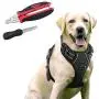 rabbitgoo Dog Harness & Dog Nail Clippers with File Set - Adjustable No Pull Dog Vest with Leash Clips(XL) | Safety Pet Nail Trimmer Cat Claw Grooming Tool Painless Paw Scissors(Black Red) rabbitgoo Dog Harness & Dog Nail Clippers with File Set - Adjustable No Pull Dog Vest with Leash Clips(XL) | Safety Pet Nail Trimmer Cat Claw Grooming Tool Painless Paw Scissors(Black Red)