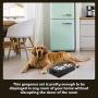Iconic Pet Colour Splash Designer Rattan Pet Double Diner (Set of 2)