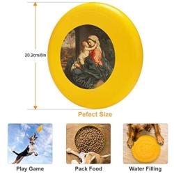 Pet Frisbee Flying Disc Dog Toy - Multifunction The Virgin and Child Embracing Giovanni Battista Salvi