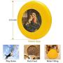 Pet Frisbee Flying Disc Dog Toy - Multifunction The Virgin and Child Embracing Giovanni Battista Salvi