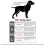 CoolerDog Dog Cooling Vest and Cooling Collar - Ice Vest for Dogs